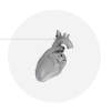 Circle Cardiovascular Releases Latest Version of Unified Cardiac Imaging Platform