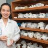 Dee Dee Wang runs Henry Ford Hospital's 3D printing lab for its complex structural heart cardiology program.