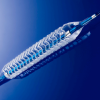 The Abbott Absorb Bioresorbable Vascular Scaffold (BVS) bioabsorbable stent.