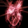 Exploring Heart Failure Drugs