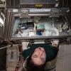 Astronaut Jessica Meir “feeds” a set of the University of Washington’s engineered heart tissues (inside the green-topped case at center) riding aboard the International Space Station as part of a test of micro-gravity on heart health. Image courtesy of NASA. 