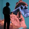 virtual heart, virtual organs, virtual clinical testing