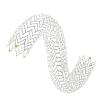 Terumo Corp. Arterial Remodeling Technologies Bioresorbable Coronary Stent