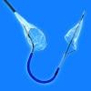 FDA clears Claret Medical Sentinel embolic protection device for TAVR