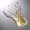 heart valve repair structural hybrid or medtronic corevalve edwards lifesciences