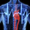 stable ischemic heart disease American College of Cardiology (ACC)