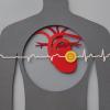 MRI, cardiac imaging, AI