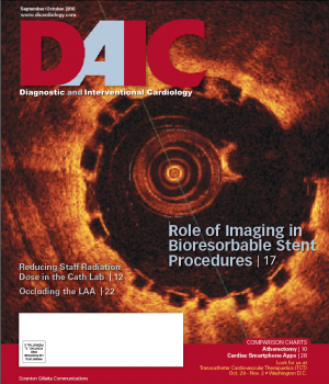 OCT imaging of a bioresorbable stent, DAIC magazine