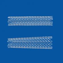 Carotid Stent Clinical Study Abbott Cordis National Cardiovascular Data Registry