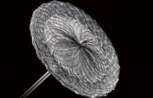 Amplatzer Structural Heart Occulder Closure Device RESPECT Clinical Trial