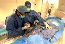 Khaldoon Alaswad, M.D., FSCAI, right, during a chronic total occlusion (CTO) case in his lab at Henry Ford Hospital, Detroit. He is presenting in several SCAI 2019 sessions.  SCAI 2019 late breaking sessions, SCAI featured research sessions.