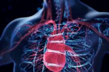 angiography, PCI, FFRangio