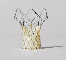 SMT (Sahajanand Medical Technology Private Ltd.), a leading medical device company of India focused on cardiology, announced it Hydra transcatheter aortic valve replacement (TAVR) device received European CE mark approval. It is indicated for the treatment of patients diagnosed with aortic stenosis. #SMT #HYDRA #TAVR