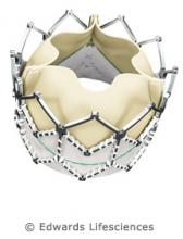 Edward Structural Heart Valve Repair Clinical Trial Sapien XT Transcatheter