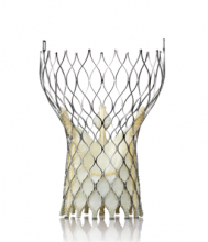 medtronic corevalve cath lab hybrid or heart valve repair study TCT 2013