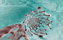 A CoreValve TAVR valve seen in a CT scan looking down from the aortic arch into the left ventricle using reconstruction software from TeraRecon.