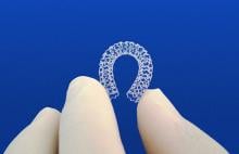 Amaranth Fortitute Bioresorbable stent