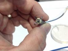 The hooks at the base of the Medtronic Micra leadless pacemaker to anchor it inside the heart. The Micra is the smallest pacemaker in the world.