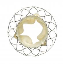 U.S. CoreValve High Risk trial TCT 2014