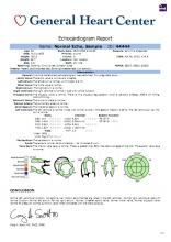 An example of a Novarad CardioReport echo report, including diagrams, measurements and short text descriptions.