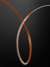 abbott Xience Xpedition stent
