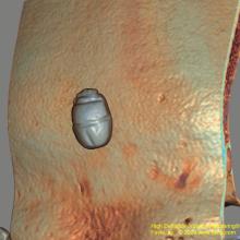 3-D reconstruction of an amulet wrapped inside a mummy as seen in a CT scan.