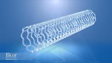 Elixer bioresorbable stent 