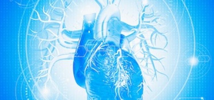 Carnegie Mellon University, Cleveland Clinic Develop AI System to Interpret Cardiac MRI Scans  