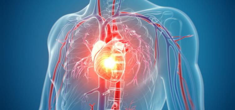 Report: AI Could Help ID Hidden Heart Failure Nine Months Earlier