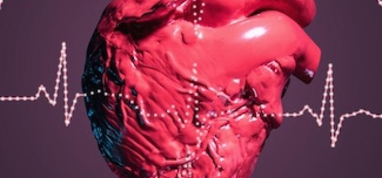  cardiac MRI, biomarkers, Cardiovascular disease, cardiomyopathy,