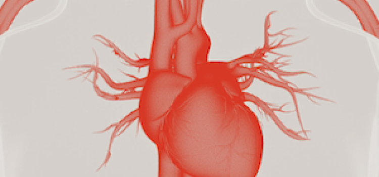 electrophysiology, AI, imaging