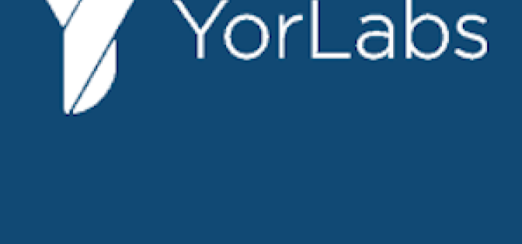 YorLabs Completes First Clinical Procedure Using Intracardiac Imaging System