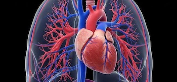 Polarean Expands Xenon MRI Platform into Cardiopulmonary Drug Development